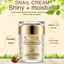 Anti Wrinkle And Nourishing Anti Acne Snail Facial Self Tanners and Bronzers Cream Facial Self Tanners & Bronzers ARTISCARE Authorized Store