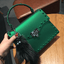 Casual Luxury Leather Jelly Bag Shoulder Bag for Women Shoulder Bags Trends Bags Store Big Green