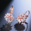 Crystal Zirconia Hoop Earrings For Women Hoop Earrings ZAKOL Official Store Rose Gold Color