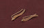 Exquisite Stud Earrings with Leaf Design Stud Earrings Welcome to XXZHJ Store Gold