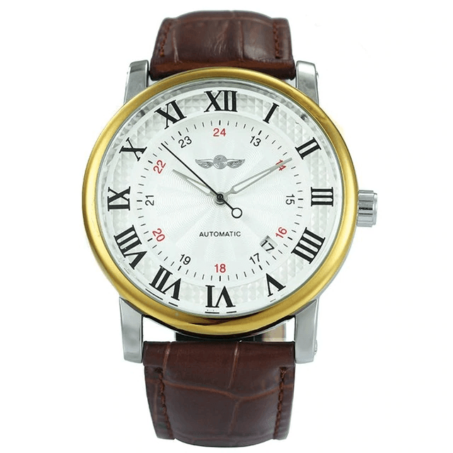 Fashion Gold Self Wind Automatic Mechanical Watch For Men Mechanical Watches Chinese Watch factory golden white