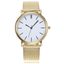 Fashion Silver Mesh Stainless Steel Dress Watch For Women Women's Watches Aiwise Store gold