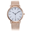 Fashion Silver Mesh Stainless Steel Dress Watch For Women Women's Watches Aiwise Store rose gold