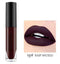 Hot Sexy Colors Waterproof Matte Lip Gloss for Women Lip Gloss IMAGIC Official Store 19