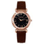 Luxury Fashion Starry Sky Diamond Dress Watch For Women Women's Watches Men's Women's Wrist watches Store Brown