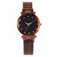 Mesh Magnet Buckle Starry Sky Quartz Watches Women's Watches Aiwise Store brown