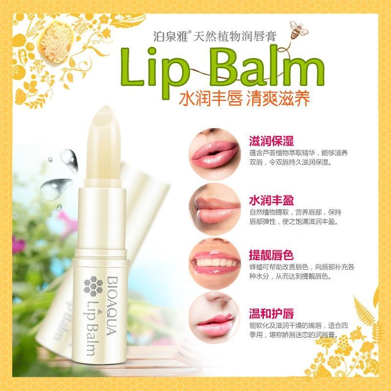 Natural Aloe Honey Moisturizing Lip Balm Lip Balm Design Zone Store