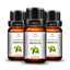 Natural Morocco Argan Hair Oil for Dry Hair Hair & Scalp Treatments June