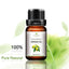 Natural Morocco Argan Hair Oil for Dry Hair Hair & Scalp Treatments June