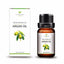 Natural Morocco Argan Hair Oil for Dry Hair Hair & Scalp Treatments June