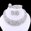 Plant Pattern Crystal Bridal Jewelry Sets For Women Bridal Jewelry Sets Carol Jewelry