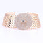 Rhinestone Clear Crystal Bridal Jewelry Sets For Women Bridal Jewelry Sets Carol Jewelry