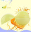 Round Plant Lip Care Products Candy Color Moisturizing Lip Balm Lip Balm Easy Product Easy Life yellow