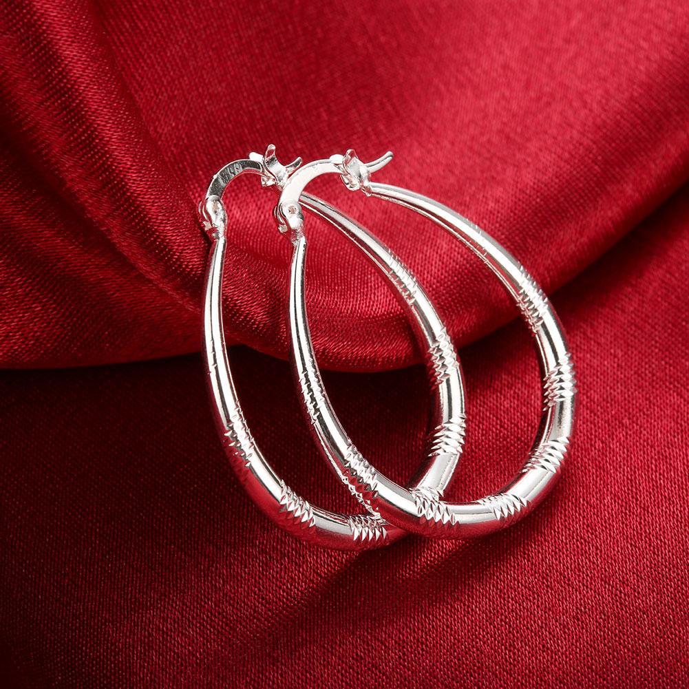 Silver Plated Elegant Earrings Hoop Earrings SuperJewelry Store