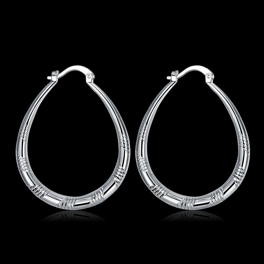 Silver Plated Elegant Earrings Hoop Earrings SuperJewelry Store