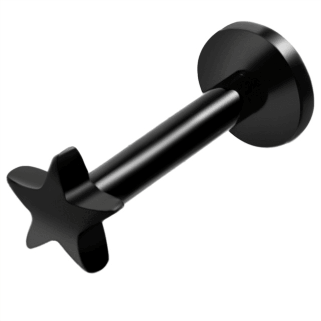 Stainless Steel Earrings Jewelry with Star and Heart Shape Body Jewelry SWANJO Jewelry Store Black 16Gx8x4mm