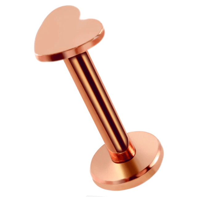 Stainless Steel Earrings Jewelry with Star and Heart Shape Body Jewelry SWANJO Jewelry Store Heart Rose Gold 16Gx8x4mm