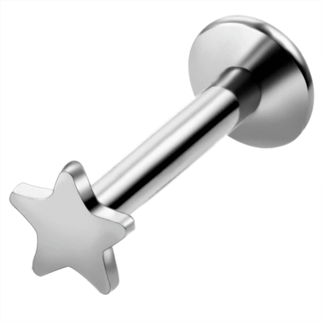 Stainless Steel Earrings Jewelry with Star and Heart Shape Body Jewelry SWANJO Jewelry Store Silver 16Gx8x4mm