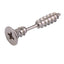 Stainless Steel Screw Earrings Stud Earrings Top Gift