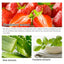 Strawberry Extract Blackhead Remover Treatments & Masks LANBENA Official Store