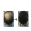 Thickener & Fiber Building Fuller Hair Loss Treatment Products for Men & Women Hair Loss Products S-Again Store