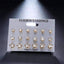 12 Pieces Single Color Simulated Pearl Stud Earrings For Women Stud Earrings KISSWIFE Official Store Gold8 