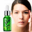 Anti Aging Green Tea Seed Hydrating Serum Serum Athene LQ Store 