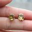 Colorful Zirconia Crystal Stud Earrings For Women Stud Earrings wproduby Official Store gold Champagne 