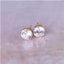 Colorful Zirconia Crystal Stud Earrings For Women Stud Earrings wproduby Official Store gold clear 