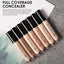 Liquid Foundation Oil Controlling Face Corrector Concealer Romantic Sakurasou Cosmetic Store 